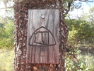 photo thumbnail #10