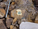 photo thumbnail #5