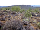 photo thumbnail #9