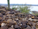 photo thumbnail #11