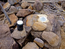 photo thumbnail #13