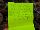 photo thumbnail #14
