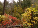 photo thumbnail #13