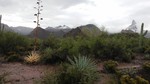 photo thumbnail #1