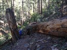 photo thumbnail #4