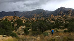photo thumbnail #11