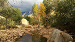 photo thumbnail #12