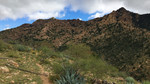 photo thumbnail #3