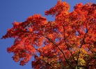 photo thumbnail #14