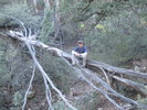 photo thumbnail #4
