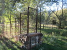 photo thumbnail #6