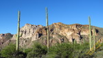 photo thumbnail #10