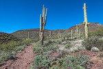 photo thumbnail #5