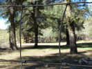 photo thumbnail #13