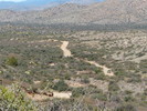 photo thumbnail #15