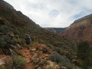 photo thumbnail #12