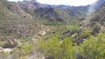 photo thumbnail #11