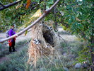 photo thumbnail #13