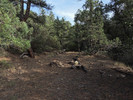 photo thumbnail #7