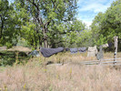photo thumbnail #11