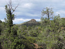 photo thumbnail #12
