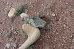 photo thumbnail #14