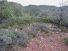 photo thumbnail #15