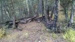 photo thumbnail #10