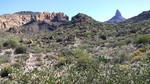 photo thumbnail #1