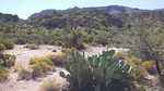 photo thumbnail #3