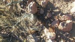 photo thumbnail #5