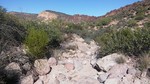 photo thumbnail #13
