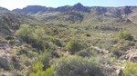 photo thumbnail #15