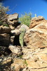 photo thumbnail #4