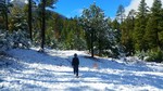 photo thumbnail #4