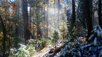 photo thumbnail #7