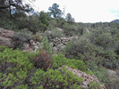 photo thumbnail #7