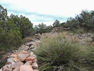 photo thumbnail #2