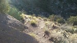 photo thumbnail #2