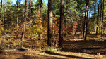 photo thumbnail #15