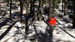 photo thumbnail #11