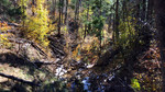 photo thumbnail #13