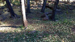 photo thumbnail #14