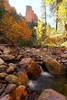 photo thumbnail #1