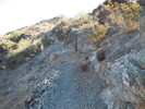 photo thumbnail #2