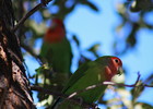 photo thumbnail #3