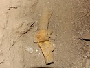 photo thumbnail #10