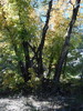 photo thumbnail #10