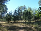 photo thumbnail #6
