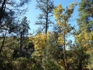 photo thumbnail #12